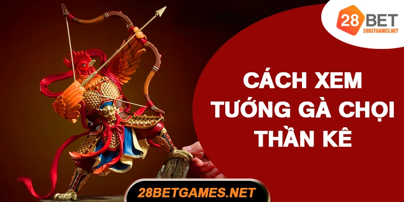 Cách xem tướng gà chọi thần kê Cách xem tướng gà chọi thần kê