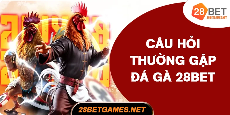 Câu hỏi thường gặp khi chơi đá gà 28BET Câu hỏi thường gặp khi chơi đá gà 28BET