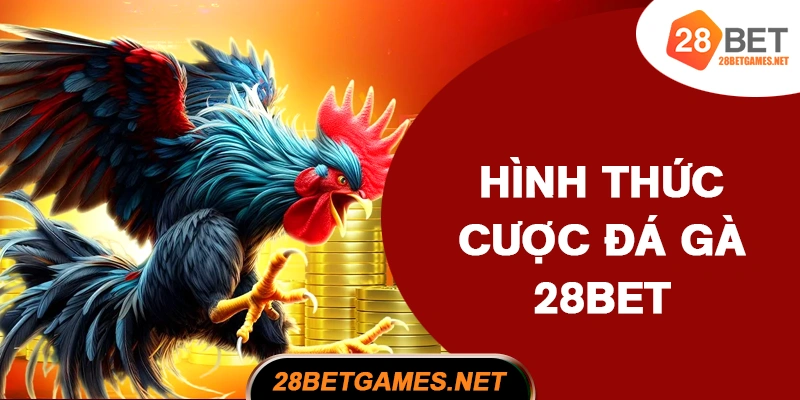 Hình thức cược đá gà và tỷ lệ trả thưởng tại 28BET Hình thức cược đá gà và tỷ lệ trả thưởng tại 28BET